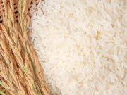 Uruguay y Brasil concentraron el 87% del volumen de arroz importado por Perú en 2025.